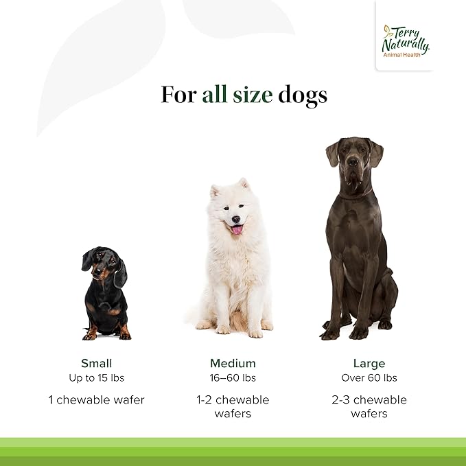 Terry Naturally Joint & Hip - Dog Health Supplement for Joint & Hip Support - Muscle Health Formula - Joint Health Support for Dogs - Pet Care Supplies - 60 Chewable Wafers