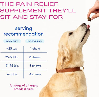 Native Pet Inflammatory Care - Pain Relief for Dogs - Green-Lipped Mussel, Turmeric & Collagen for Dogs - Hip and Joint Supplement Supports Healthy Inflammatory Response & Joint Comfort - 30 Chews