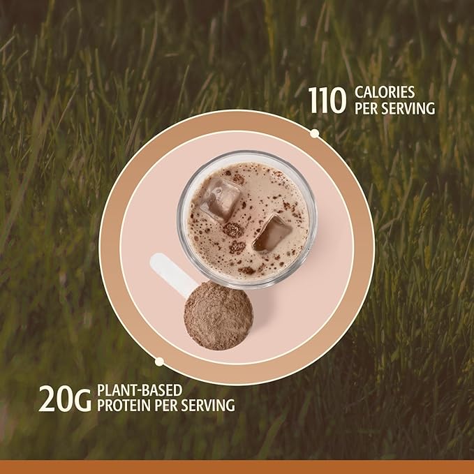 Women’s Plant Protein Powder, Chocolate, Pea Protein with KSM-66 Ashwagandha®, Organic SRI-81™ Shatavari & Acti Veda™ (20g Protein)