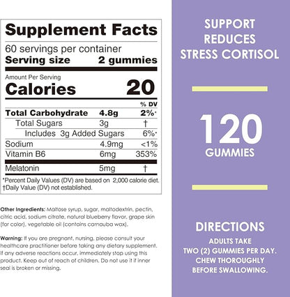 Nature's Key Melatonin Gummies for Kids & Adults, 2.5mg 5mg or 10mg Dose Gummy with Vitamin B6, Natural Blueberry Flavor 120 Ct