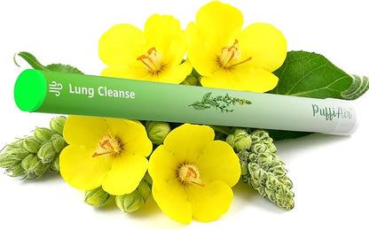 Herbal Diffuser Pen, Detox Diffuser with Mullein, Thyme & Mint for Better Breathing, All Natural Swap - Up to 600 Uses (Varies by Usage), 4 Diffusers, 2 Packs