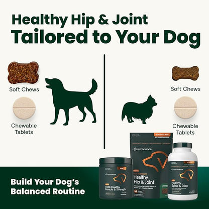 VetriScience Healthy Hip & Joint Chews, GlycoFlex Glucosamine and Green-Lipped Mussel Mobility Support Supplement for Dogs, Promote Play and Protect Joints, Chicken, 60 Count