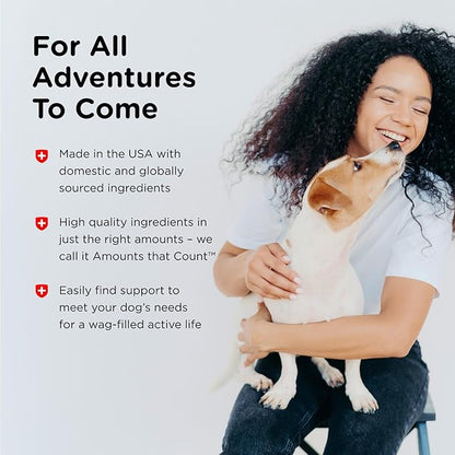 Nutri-Vet Hip & Joint Biscuits, Dog Joint Supplement, Dog Treat, Small Sized Biscuit with 166mg Glucosamine, Puppy Supplements, Tasty Glucosamine Treat, Puppy Essentials, 16 oz (Pack of 2)