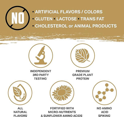 Ambrosia Planta - Plant-Based Protein Powder 20g | Dairy Free Vegan Protein Powder with BCAA Amino Acids | Keto-Friendly, No Added Sugar | 25 Servings | Strawberry Ice Cream