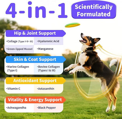 POPPAW Collagen for Dogs - 12-in-1 Liquid Collagen for Skin & Coat Support, Hip & Joint with Types I, II & III Drops, Hyaluronic Acid, Green-Lipped Mussel - Chicken Flavor, 2 FL Oz