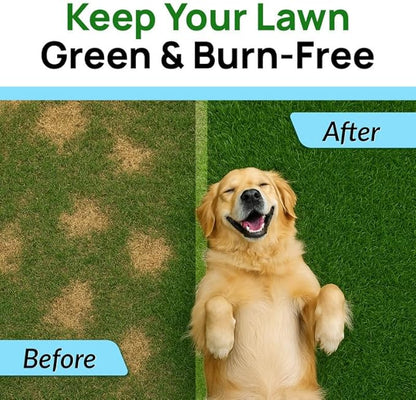 PAWFECTCHEW Dog Pee Grass Chews - Grass Treatment for Pet Urine - Neutralizer for Green Grass Burn Urine Spots - Green Lawn Chews for Dogs with Probiotics - Made in USA (120Ct)