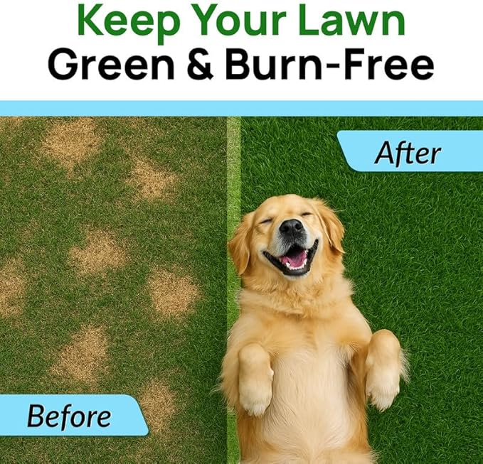 PAWFECTCHEW Green Grass Dog Chews with Probiotics – Lawn Burn Support – Dog Urine Neutralizer for Grass – Pee Spot Control – Gut & Urinary Health – 240Ct