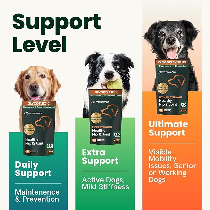 VetriScience Extra Strength Healthy Hip & Joint Chews, GlycoFlex Glucosamine and Green-Lipped Mussel Joint Support Supplement for Dogs, Promote Mobility and Soothe Joint Discomfort, Chicken, 120 Count
