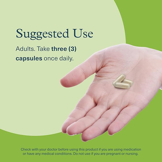 Youtheory Mushroom Stress Complex - 6 Mushroom Blend - Stress Management Support* - Immune Support - L-Theanine Supplement - Dairy, Soy & Gluten Free - 60 Vegetarian Capsules