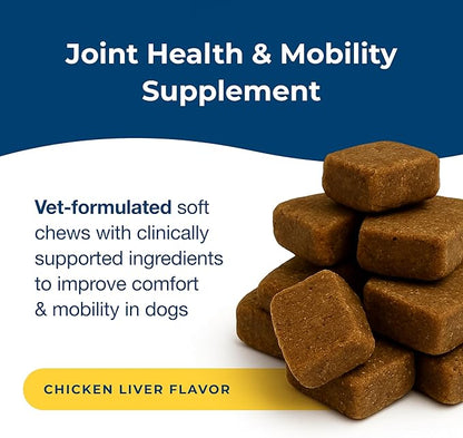 PetAg Dyne Soft Chews, Joint Health & Mobility Supplement - Vet-Formulated for Dogs - with UC-II® Collagen - Up to 4X More Effective Than Glucosamine/Chondroitin - 45 Chicken Liver Flavor Chews