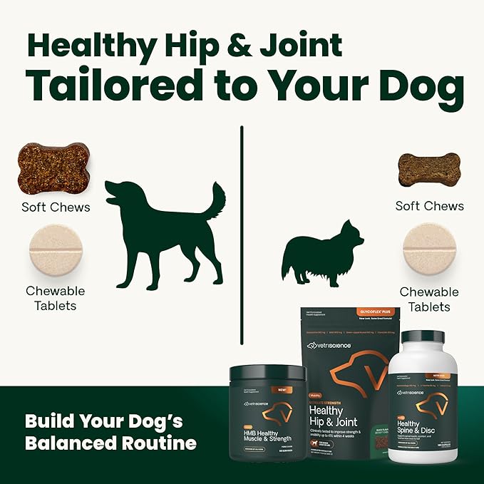 VetriScience Extra Strength Healthy Hip & Joint Chews, GlycoFlex Glucosamine and Green-Lipped Mussel Joint Support Supplement for Dogs, Promote Mobility & Soothe Joint Discomfort, Chicken, 60 Count