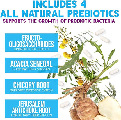 Probiotics 100 Billion CFU Per Serving - 10 Probiotic Strains & Prebiotics - Digestive Gut Health, Immune Support & Occasional Constipation, Gas & Bloating - Daily Supplement For Adults - 120 Capsules