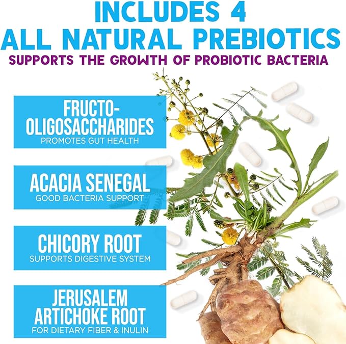 Probiotics 100 Billion CFU Per Serving - 10 Probiotic Strains & Prebiotics - Digestive Gut Health, Immune Support & Occasional Constipation, Gas & Bloating - Daily Supplement For Adults - 60 Capsules