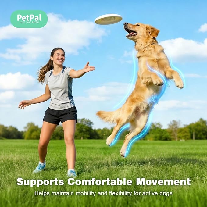 Healthy Dog Treat, Soft Training chew, Support Hip and Joint Health with Glucosamine, Chondroitin Sulfate & MSM, Mobility, Cartilage & Joint Stiffness Relief Supplement, 100 Count