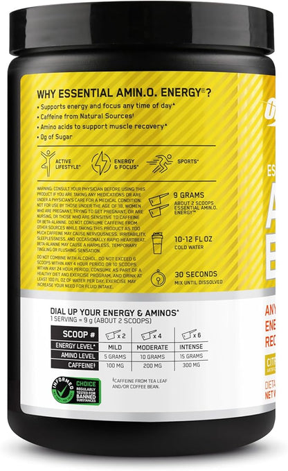 Optimum Nutrition Amino Energy - Pre Workout with Green Tea, BCAA, Amino Acids, Keto Friendly, Green Coffee Extract, Energy Powder - Citrus Spritz, 9.5 Ounce, 30 Servings (Packaging May Vary)