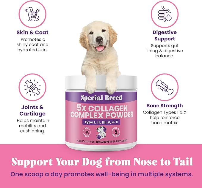 Premium 5X Collagen Powder for Dogs - Types I, II, III, V & X - Skin, Join, Gut & Coat Support - Collagen Powder with Bamboo & Vitamin C, 180 Scoops 4.28 oz