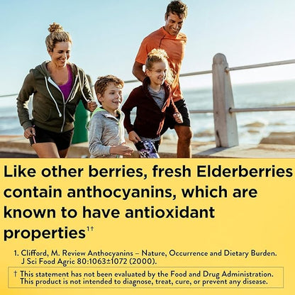 Nature Made Elderberry 400 mg Extract with Vitamin C and Zinc, Dietary Supplement for Immune Support, 60 Capsules, 60 Day Supply (Pack of 2)