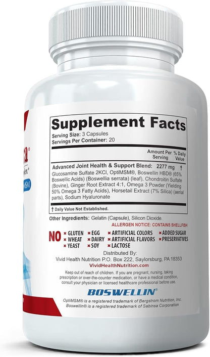(3 Bottles Maximum Strength Joint Health & Support Supplement | Glucosamine, Chondroitin, Hyaluronic Acid & MSM | Flexibility Support for Healthy Knee & Back. 60 Capsules Each