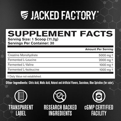 Jacked Factory Creatine + BCAAs - Creatine Monohydrate + BCAA Powder for Increased Post-Workout Recovery, Performance, Lean Muscle Growth, & Reduced Fatigue - 30 Servings, Blue Raspberry