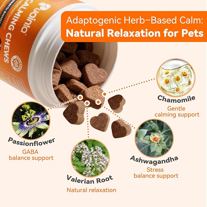 Dog Calming Chews – Magnesium Glycinate & Melatonin for Dogs, 4 Herbal Ingredients for Anxiety Relief, Stress & Travel Support, Chicken Flavor (90 Count)