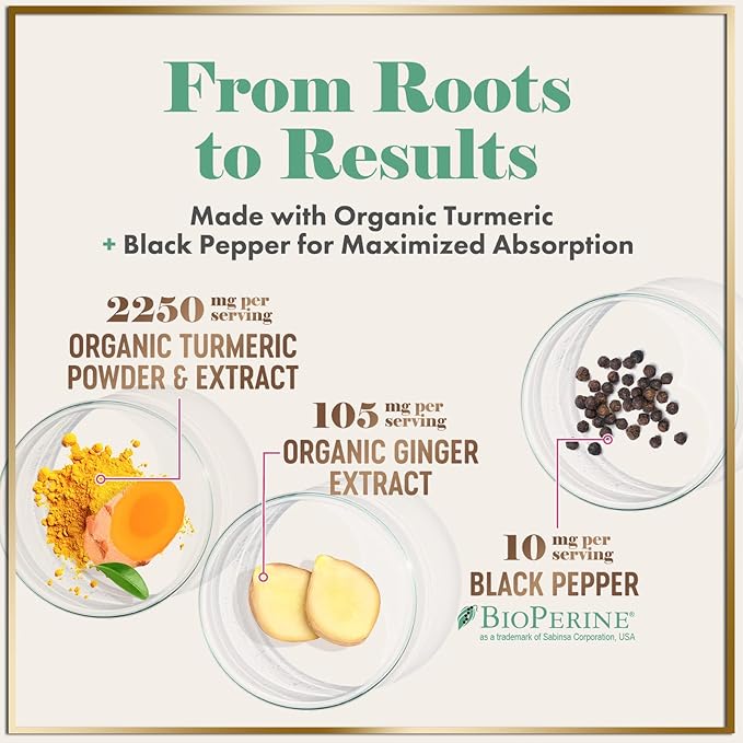Turmeric Curcumin Supplement with 95% Curcuminoids, Organic Turmeric & Ginger 1750mg, BioPerine Black Pepper for Best Absorption, Nature's Vegan Joint Support, Non-GMO, Bottled in USA - 240 Capsules