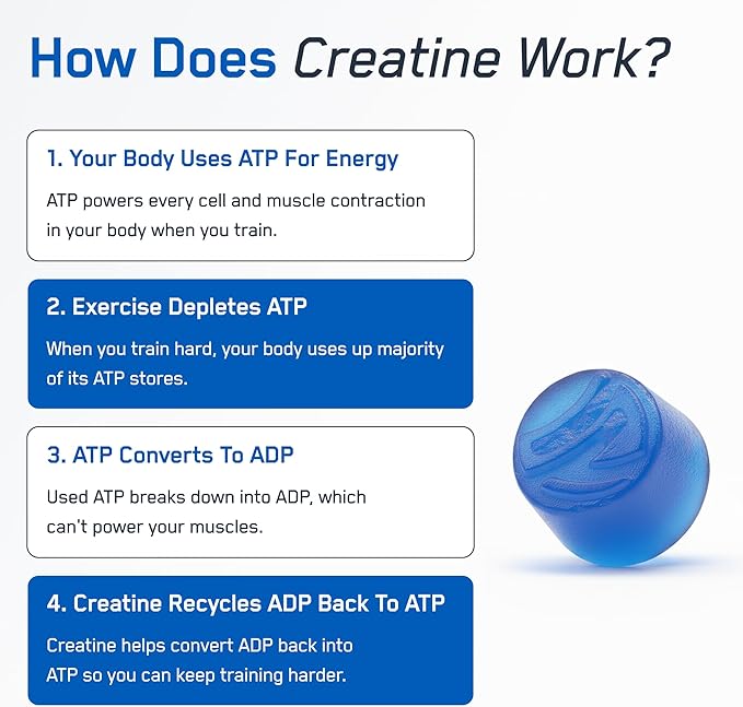 SteelFit Creapure Creatine Monohydrate Gummies for Men & Women, Blue Raspberry - Gym Workout Nutritional Supplements for Muscle Gain, Brain Health & Strength Building Dietary Supplement, 120 Gummies