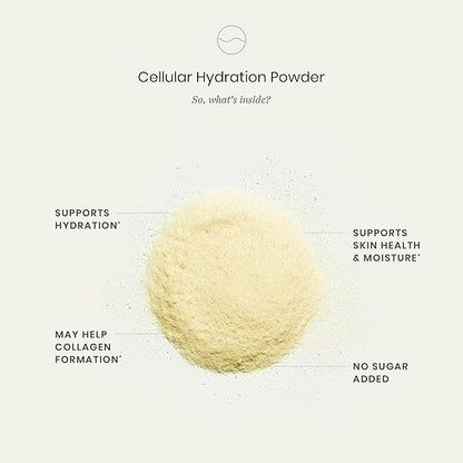 Perelel Hydration Powder, Electrolyte Supplement with Collagen & Hyaluronic Acid, Mango Lemonade Flavor, Soy & Gluten Free, Non GMO, No Added Sugar, 7 Servings