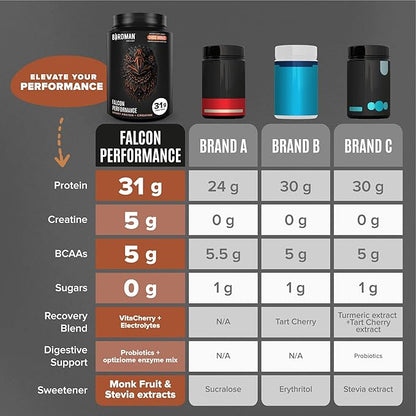 Birdman Falcon Performance Vegan Protein Powder, 31g Protein, 5g Creatine, 5g BCAA, Probiotics, Electrolytes, Pre Workout, Low Carb, Sugar Free & Dairy Free, Plant Based Chocolate Protein, 28 servings