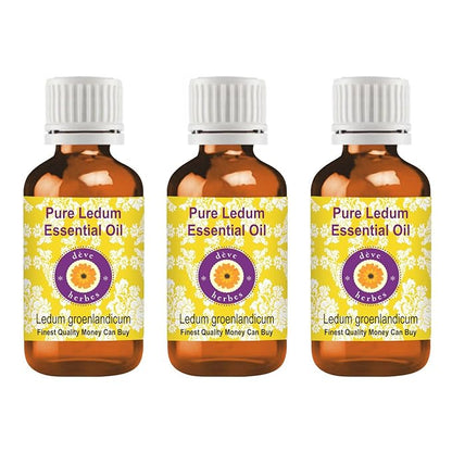 Deve Herbes Pure Ledum Essential Oil (Ledum groenlandicum) Steam Distilled (Pack of Three) 100ml X 3 (10 oz)