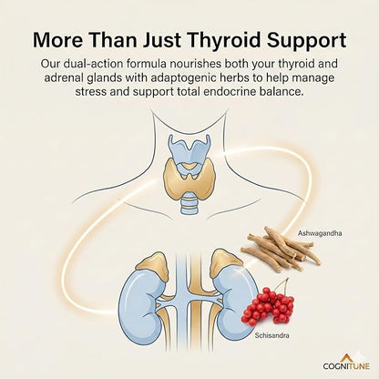 CogniTune Thyroid Support Supplement for Women and Men - Complete 14 Ingredient Formula with Iodine Selenium and B12 - Supports Natural Energy Metabolism and Mental Focus