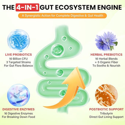 Probiotics for Women and Men, with 15 Prebiotics, 16 Digestive Enzymes & Postbiotics - Probiotics for Digestive Health & Bloating, Probiotic Gummies for Gut Health & Immunity, Sugar-Free, 60 Gummies