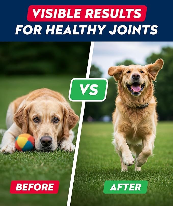Glucosamine Treats for Dogs - Joint Supplement w/Omega-3 Fish Oil - Chondroitin, MSM - Advanced Mobility Chews - Joint Pain Relief - Hip & Joint Care - Bacon Flavor - 240 Ct - Made in USA