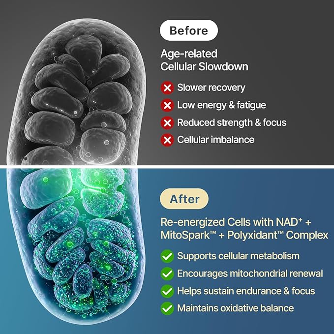 NAD+ Supplement 1600mg Extra Strength - Liposomal NMN Alternative with Resveratrol, Urolithin A, CoQ10, Quercetin & ALA - Mitochondrial Energy & Anti-Aging, Cell Regeneration, 60 Softgels