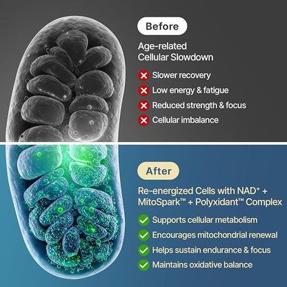 NAD+ Supplement 1600mg Extra Strength - Liposomal NMN Alternative with Resveratrol, Urolithin A, CoQ10, Quercetin & ALA - Mitochondrial Energy & Anti-Aging, Cell Regeneration, 60 Softgels