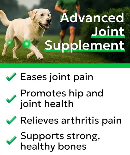 BARK&SPARK Glucosamine Chondroitin Dog Hip & Joint Supplement - Joint Pain Relief - Hip & Joint Chews - Joint Support Large & Small Breed - Senior Doggie Vitamin Pills Joint Health (120 Treats)