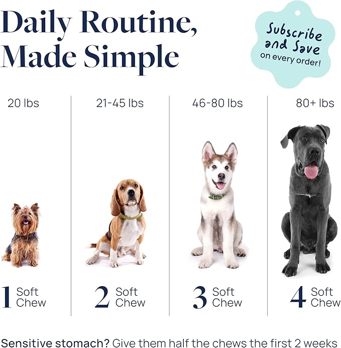 Veterinary Formula Gut Health Supplement for Dogs – Vet-Formulated Probiotic Chews with Digestive Enzymes & Fiber – Smart Vitality Supports Digestive Health, Gut Balance & Stool Quality, 60 Soft Chews