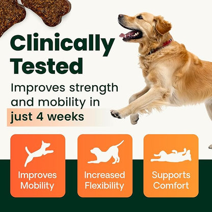 VetriScience Healthy Hip & Joint Chews, GlycoFlex Glucosamine and Green-Lipped Mussel Joint Support Supplement for Dogs, Promote Mobility and Protect Joints, Chicken, 120 Count (Pack of 2)