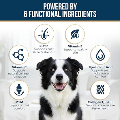 Liquid Collagen for Dogs - Dog Collagen Drops for Dogs, Supports Joints, Skin, Coat, Bones and Itch Relief for Dog, 6 in 1 Formula, 3 Types Collagens, Biotin, Vitamin C, Vitamin E and Hyaluronic Acid