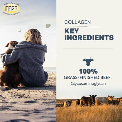 Four Leaf Rover Collagen for Dogs - Type II Grass-Finished Beef Collagen with Chondroitin Sulfate - 30 Day Large Dog Supply, Powder