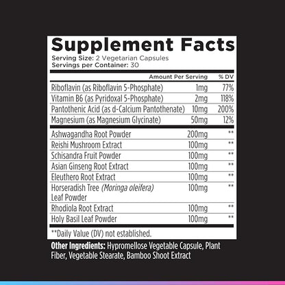 Livingood Daily Stress Support, 12-in-1 Supplement with Ashwagandha, Reishi Mushroom, Vitamin B6, Adaptogenic Herbs & Magnesium, Supports Mood & Calm, Gluten Free, Vegan, 60 Vegetarian Capsules