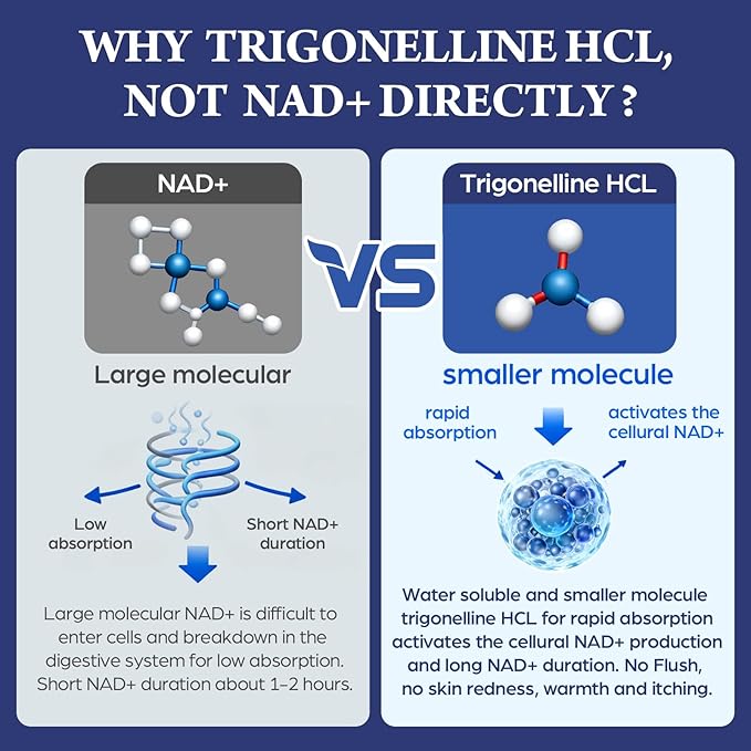 NMNH Strengthen Alternative with Trigonelline HCL 500mg & Resveratrol 100mg | NAD Supplement for Women & Men | Plant Extraction NAD+ Precursors for Energy Boost & Healthy Aging | 180 Capsules