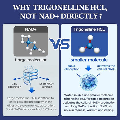 NAD Supplement - NMNH Alternative with Trigonelline HCL 500mg & Resveratrol - NAD+ Precursors Plant Extraction - Support Cellular Energy & Healthy Aging & Brain for Women & Men - 90 Capsules