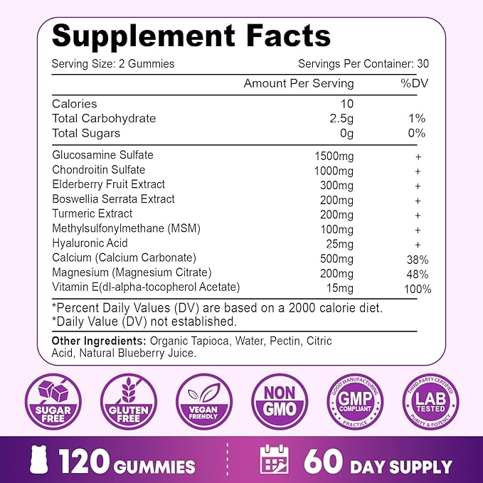 2 Pack Glucosamine Chondroitin Gummies - Glucosamine Chondroitin with MSM, Elderberry, Turmeric, Joint Support Supplement for Adults, Men & Women - Blueberry Flavor, 120 Cts