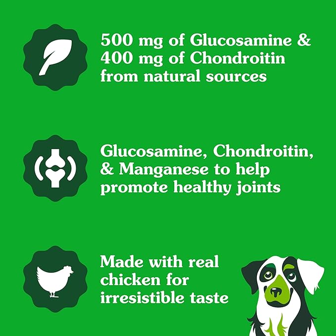 Greenies Supplements Hip and Joint Supplements for Dogs, with Chondroitin & Glucosamine for Dogs, Chicken Flavor, 16.2 oz. Container, 80 Count (Pack of 2)