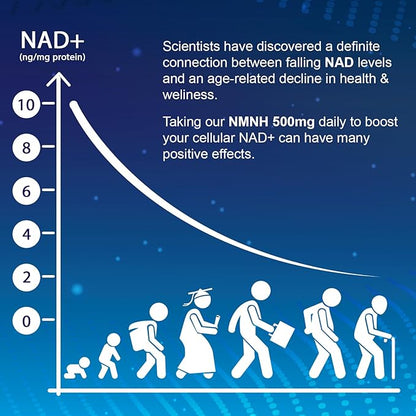 NMNH (Dihydronicotinamide Mononucleotide), NAD Supplement to Boost NAD+ Levels as We Age (May Be More Effective Than Nicotinamide Riboside) for Anti Aging, Energy Focus - 120 Capsule