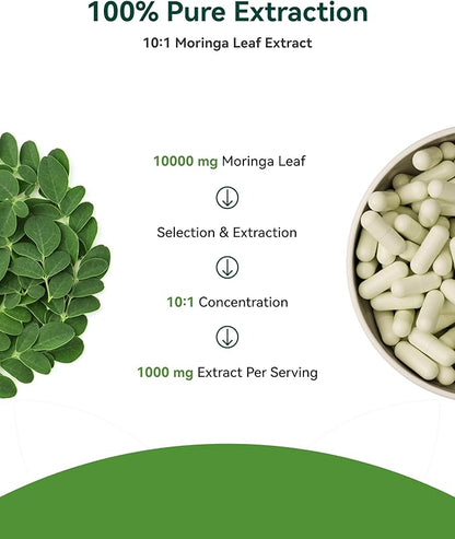 Inner Brightness Moringa Capsules 1000mg Per Serving – 10:1 Moringa Leaf Extract Green Superfood for Energy & Immune Support – Vegan, Non-GMO, 60 Count, Made in USA
