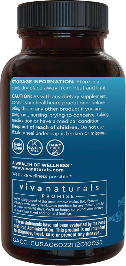 Viva Naturals Omega-3 Fish Oil, Triple Strength, 2500 mg, 60 Softgels – Re-Esterified Omega 3 Fatty Acids Including EPA, DHA, DPA - Pascatarian-Friendly
