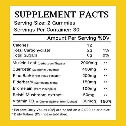 Mullein Gummies, 2000mg Organic Mullein Leaf Extract with Quercetin, Bromelain & Vitamin D3, Mullein Leaf Extract for Respiratory, Natural Lung Cleanse, Improve Appetite, Vegan, Non-GMO, 1 Pack