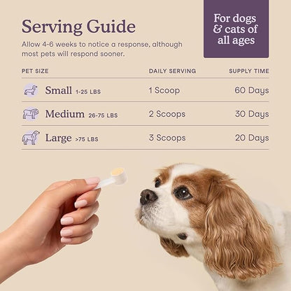 Fera Pets Calming Supplement for Dogs & Cats with Probiotics, L-Theanine, and Ashwagandha - Supports Anxiety Relief - Promotes Relaxation - 60 Scoops