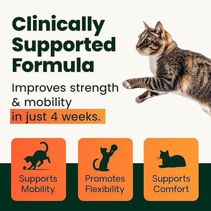 VetriScience Ultimate Strength Healthy Hip & Joint Powder, GlycoFlex Glucosamine, Chondroitin and Green Lipped Mussels Joint Supplement for Cats, Cheese & Chicken, 60 Scoops